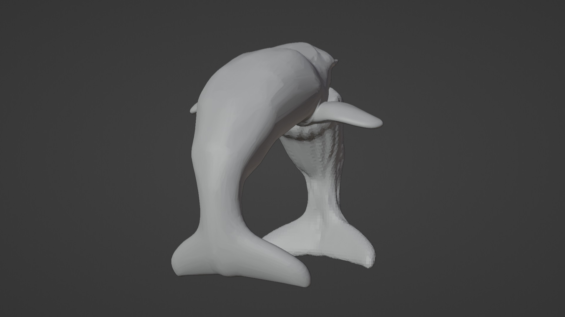 Narwhal 3D Model for Printing  3D print model_19