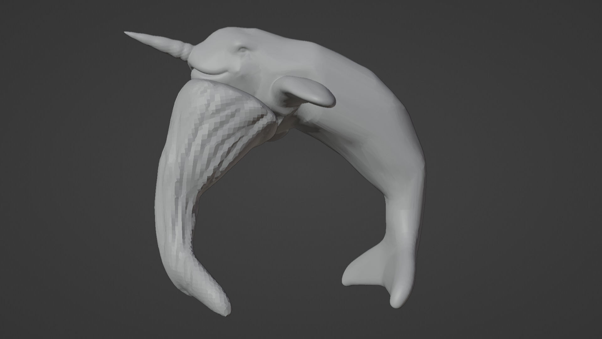 Narwhal 3D Model for Printing  3D print model_62