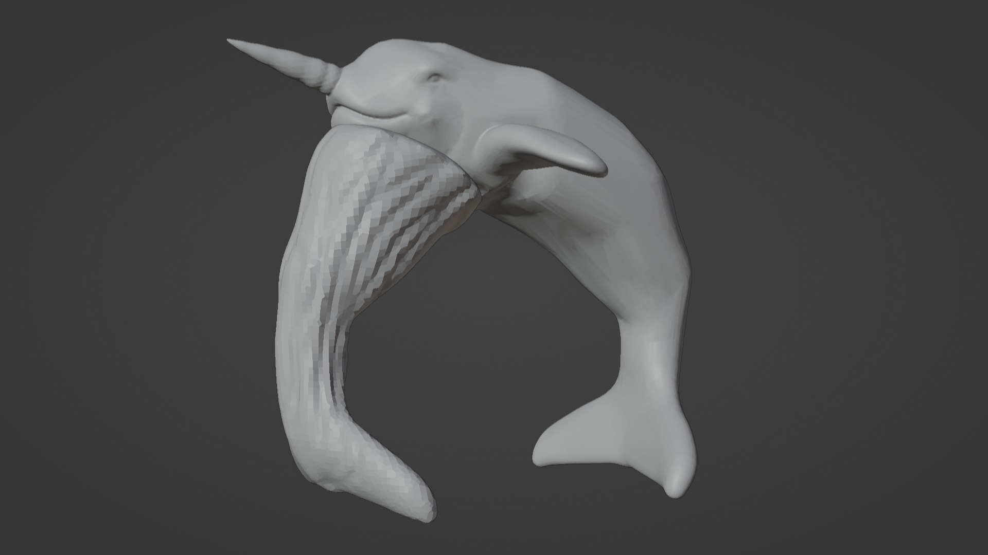 Narwhal 3D Model for Printing  3D print model_57