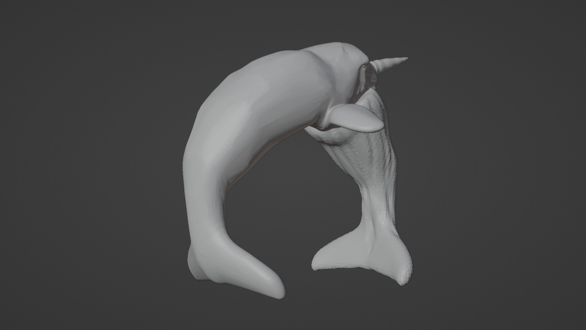 Narwhal 3D Model for Printing  3D print model_17