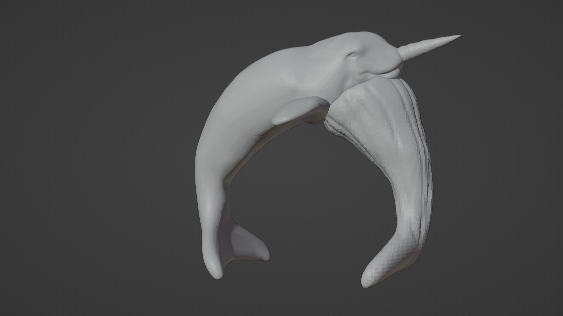 Narwhal 3D Model for Printing  3D print model_95