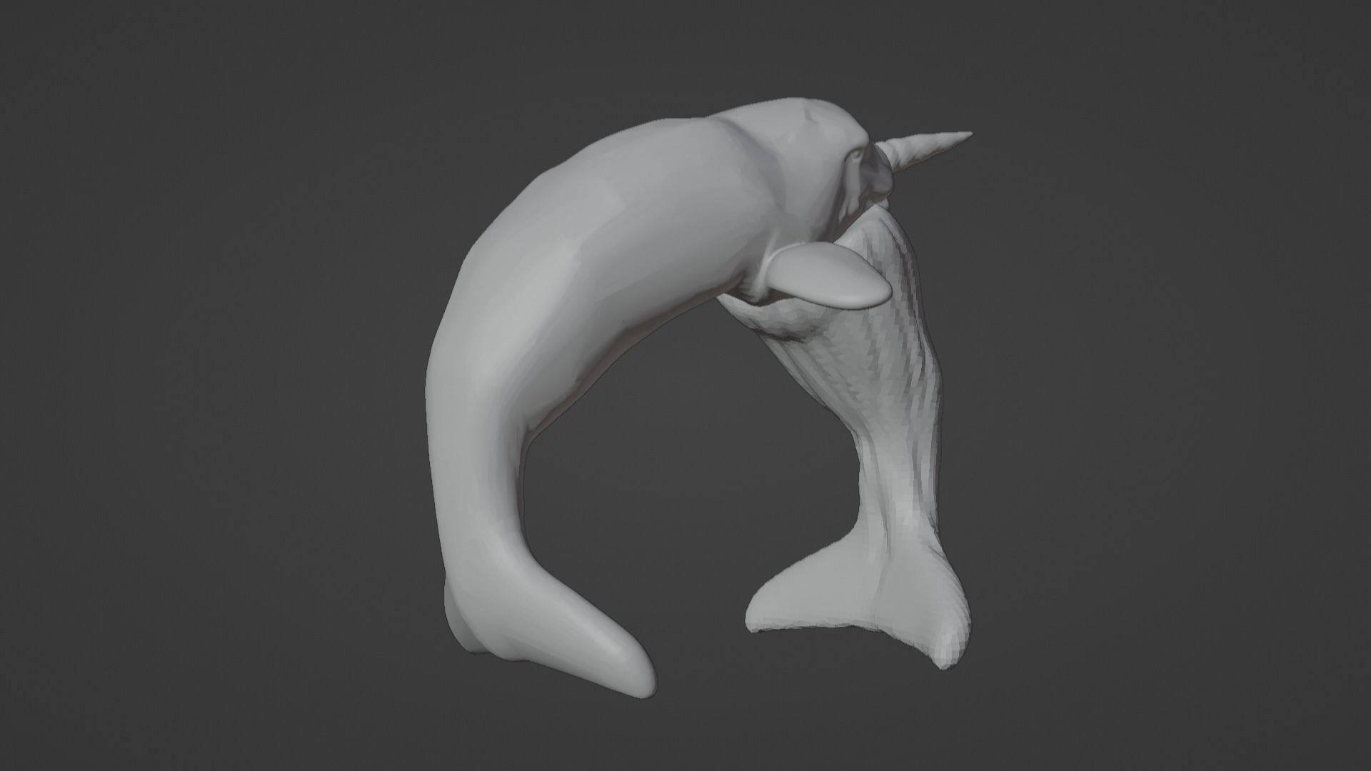 Narwhal 3D Model for Printing  3D print model_6