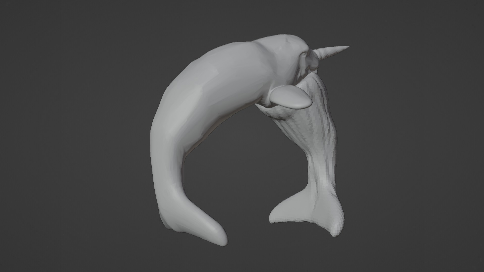 Narwhal 3D Model for Printing  3D print model_3