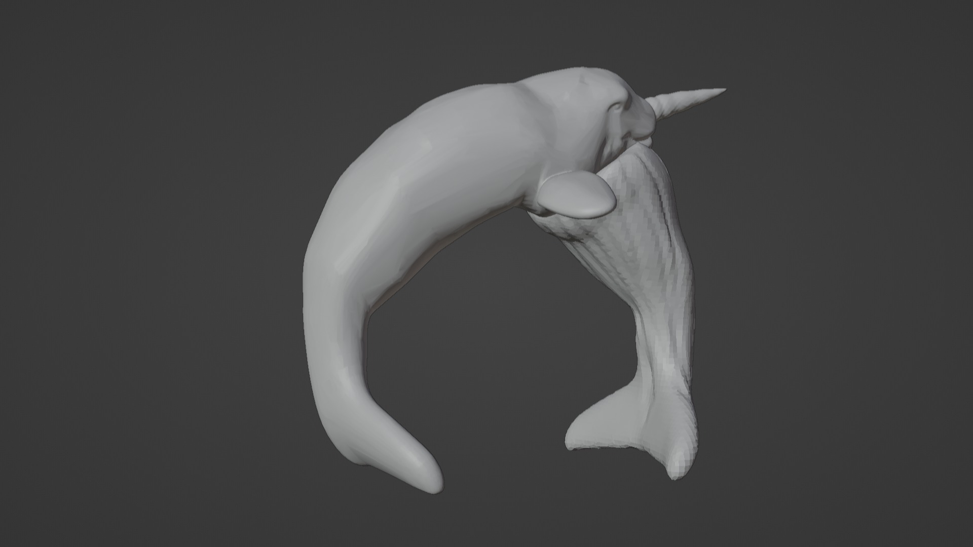 Narwhal 3D Model for Printing  3D print model_1