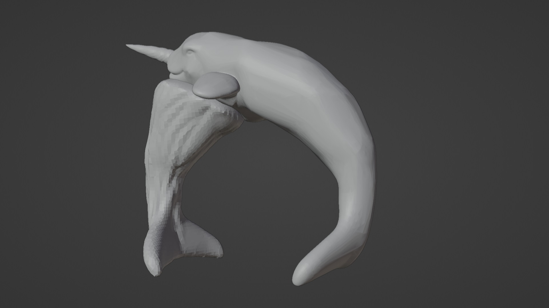 Narwhal 3D Model for Printing  3D print model_45
