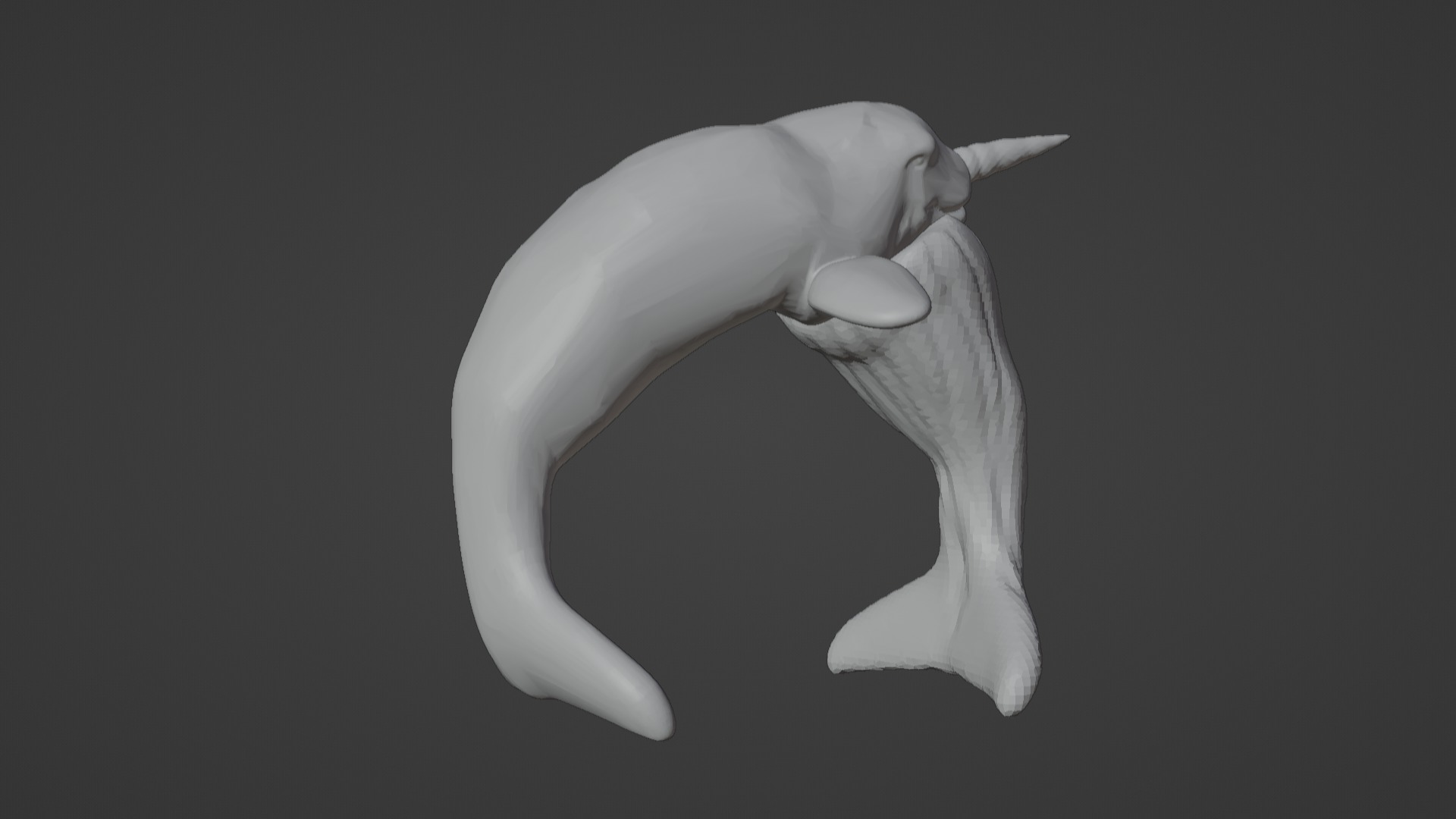 Narwhal 3D Model for Printing  3D print model_2