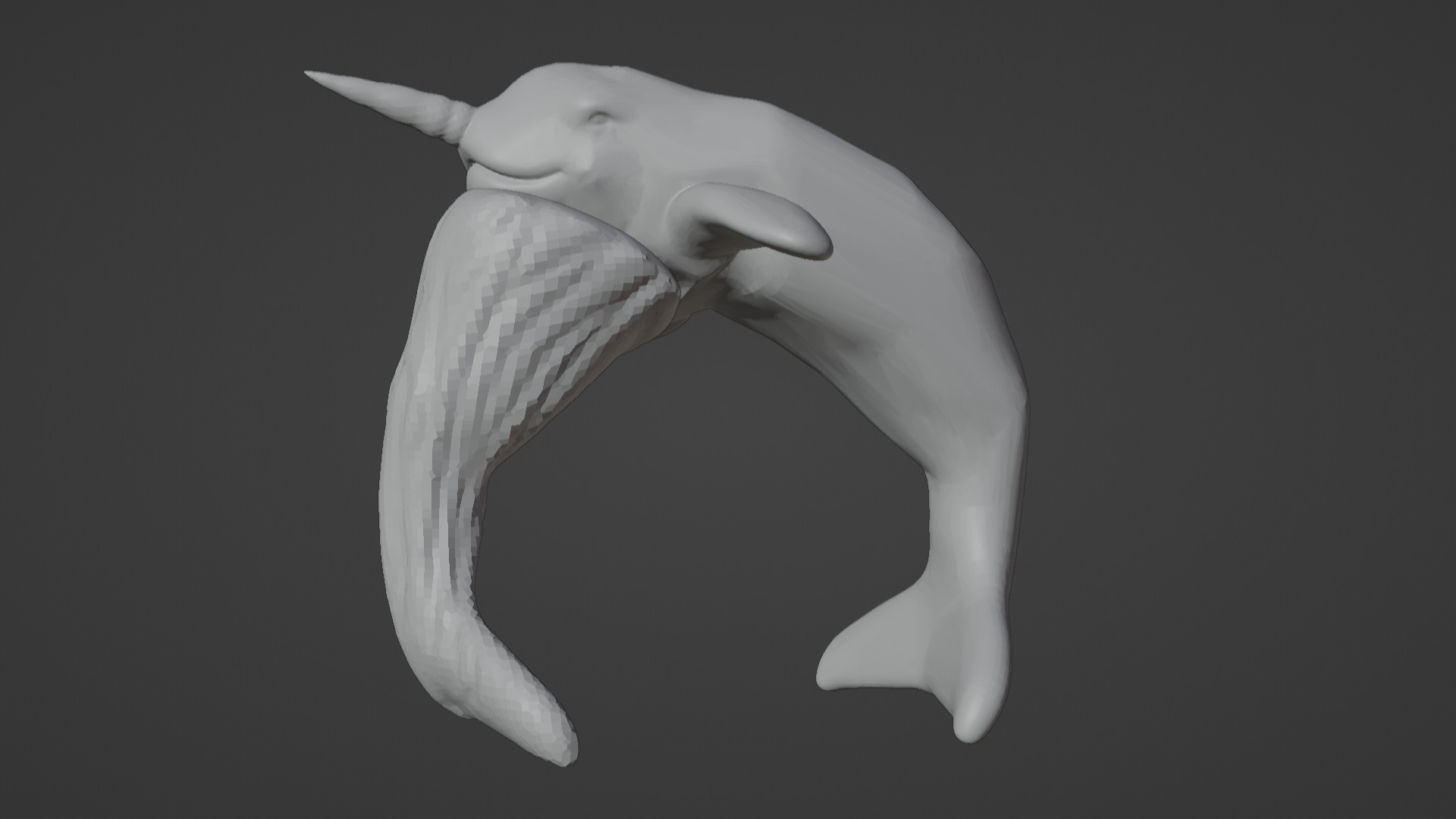 Narwhal 3D Model for Printing  3D print model_60