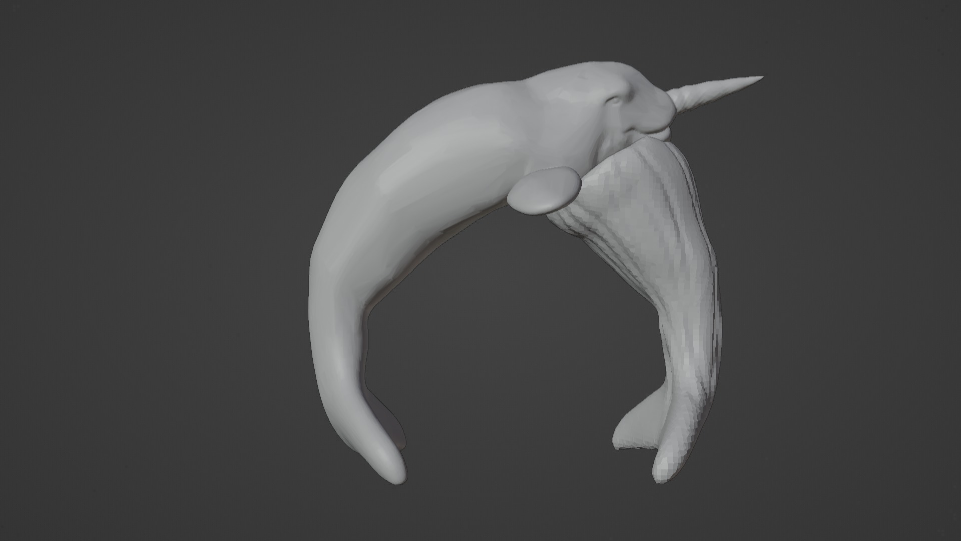 Narwhal 3D Model for Printing  3D print model_12