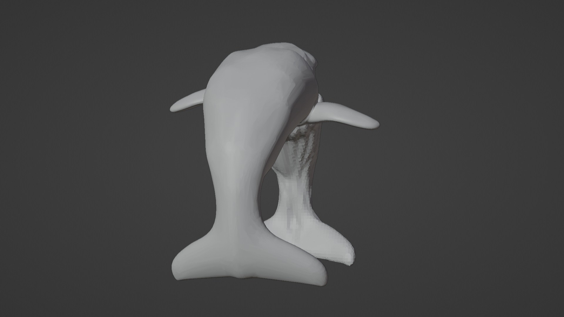 Narwhal 3D Model for Printing  3D print model_23