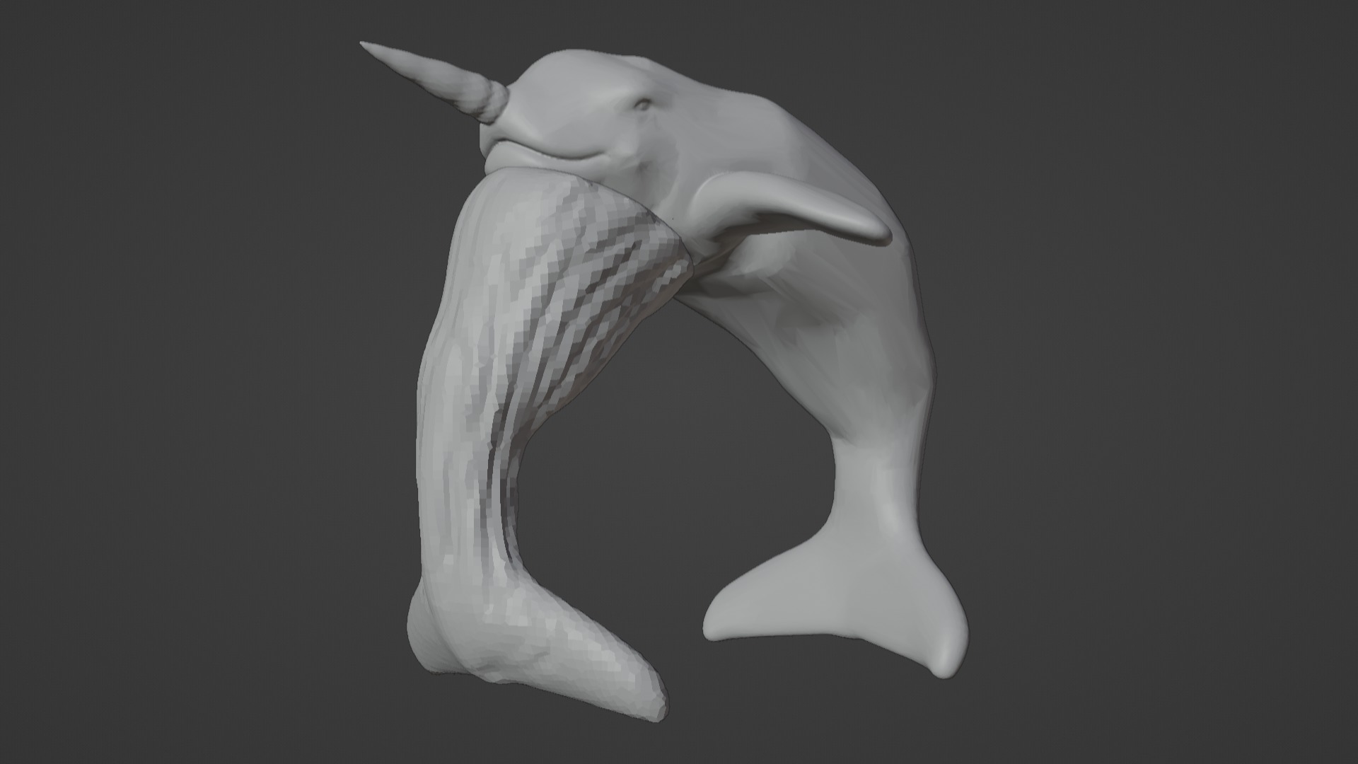 Narwhal 3D Model for Printing  3D print model_61