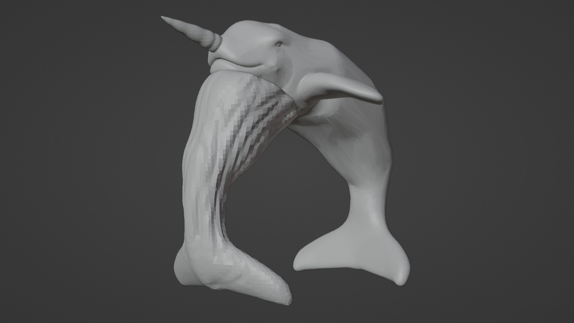 Narwhal 3D Model for Printing  3D print model_63