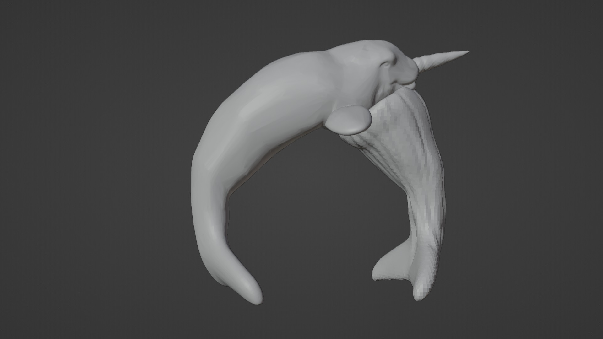 Narwhal 3D Model for Printing  3D print model_5