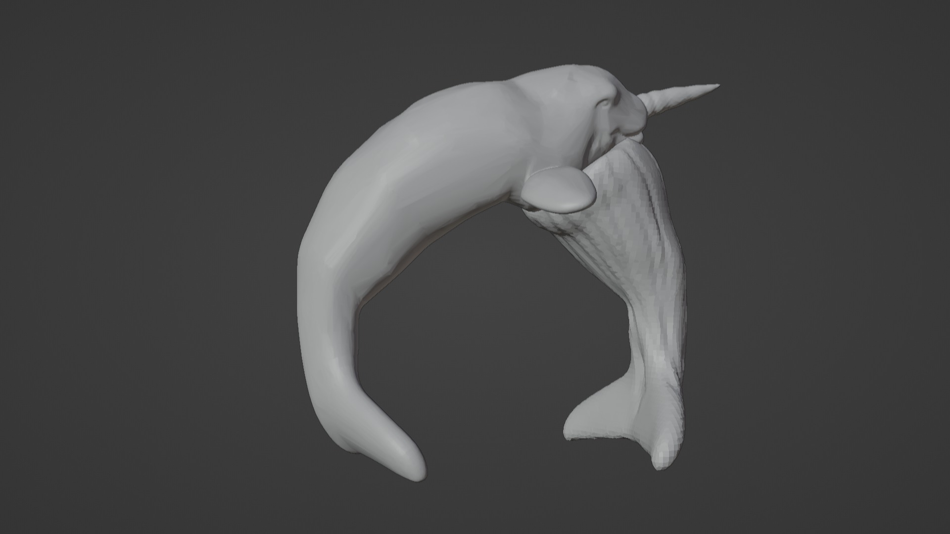 Narwhal 3D Model for Printing  3D print model_8