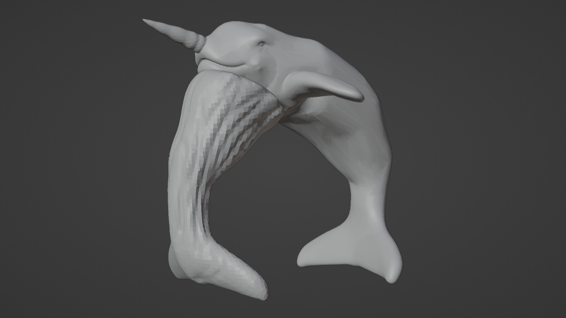 Narwhal 3D Model for Printing  3D print model_66