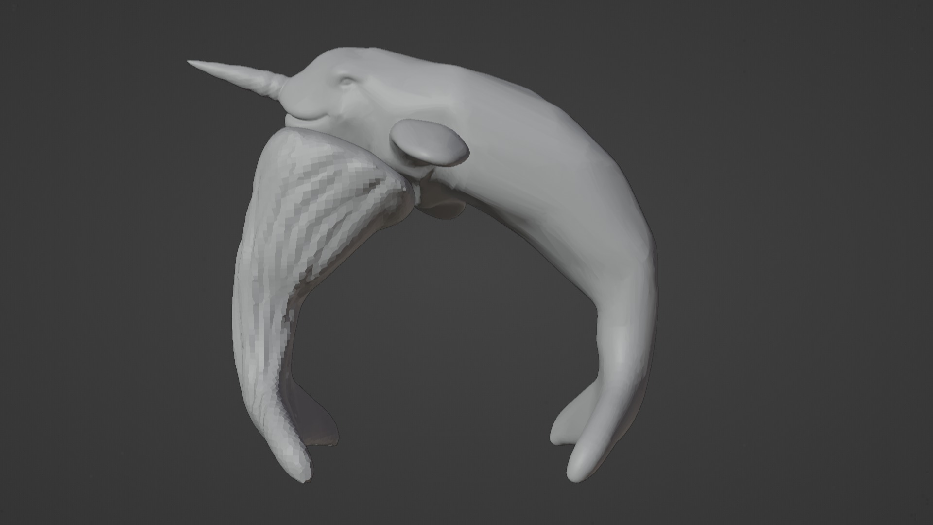 Narwhal 3D Model for Printing  3D print model_51