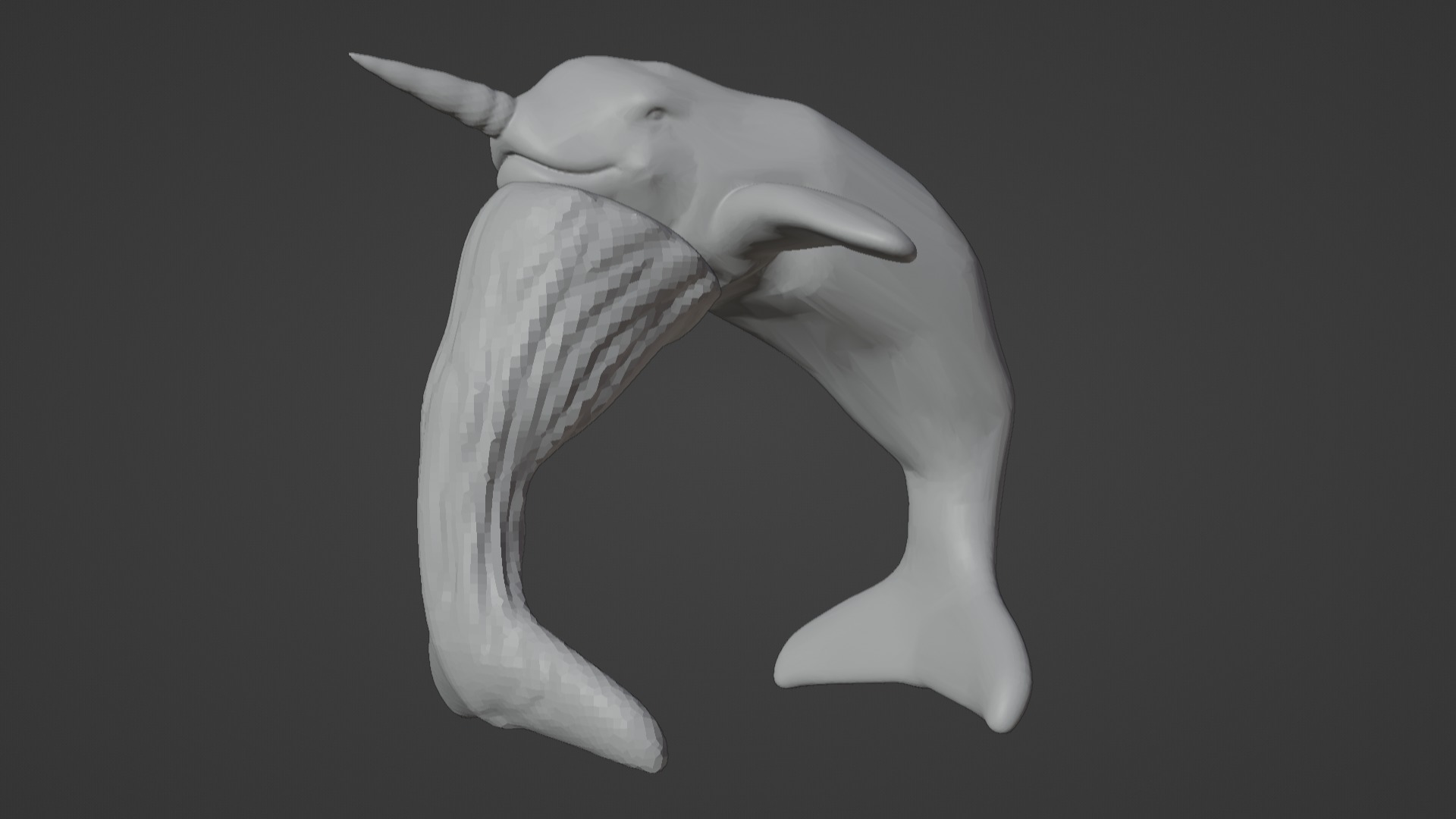 Narwhal 3D Model for Printing  3D print model_55