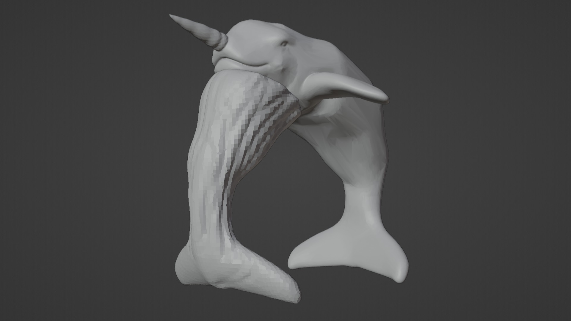 Narwhal 3D Model for Printing  3D print model_64