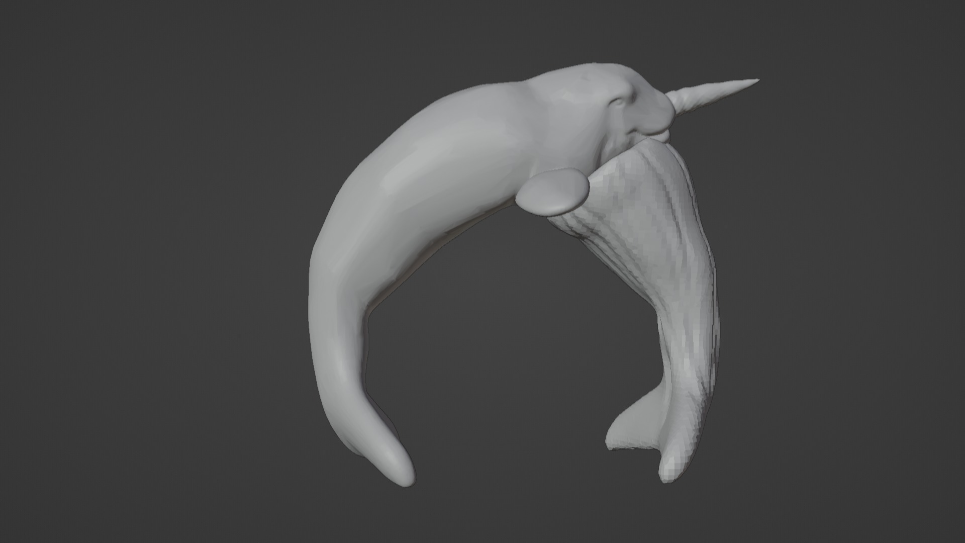 Narwhal 3D Model for Printing  3D print model_7