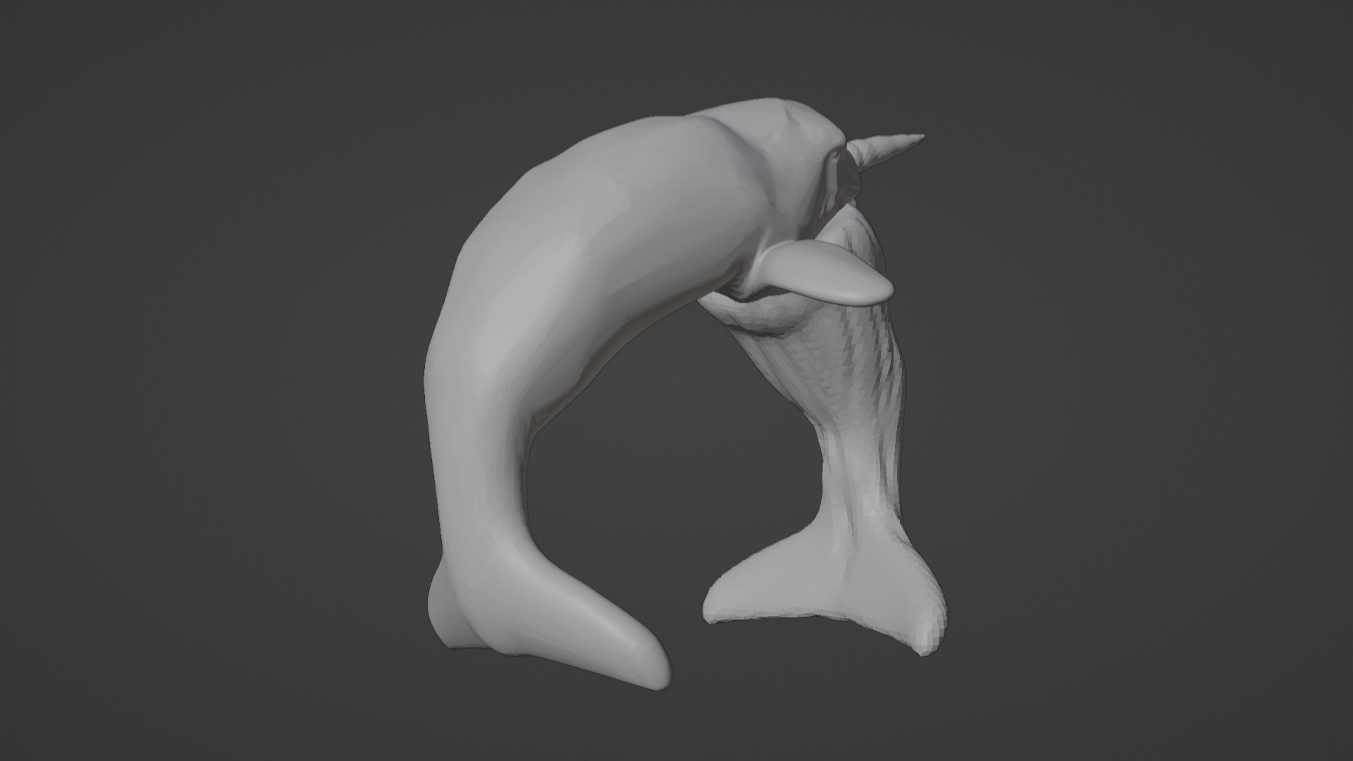 Narwhal 3D Model for Printing  3D print model_20