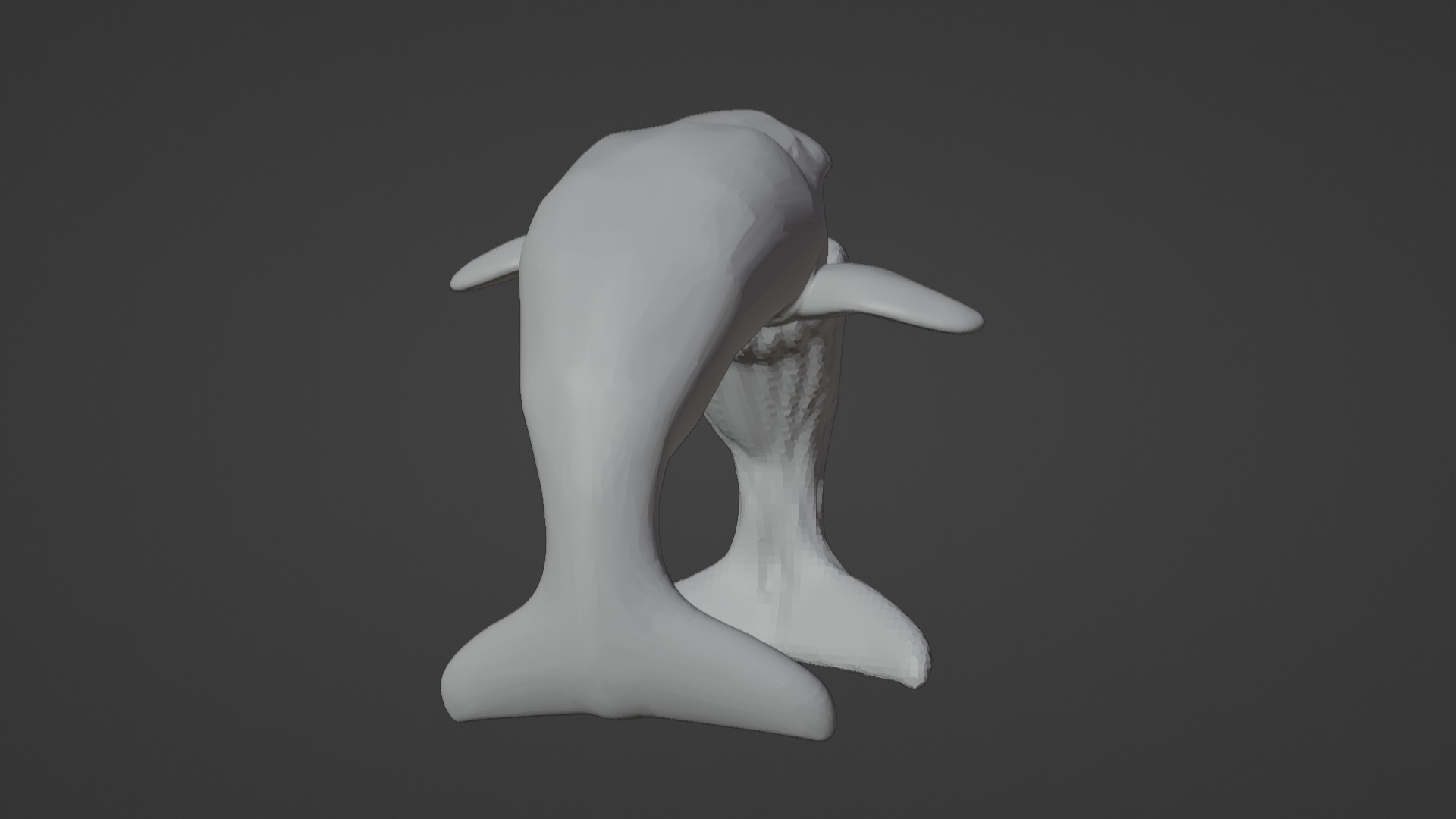 Narwhal 3D Model for Printing  3D print model_24