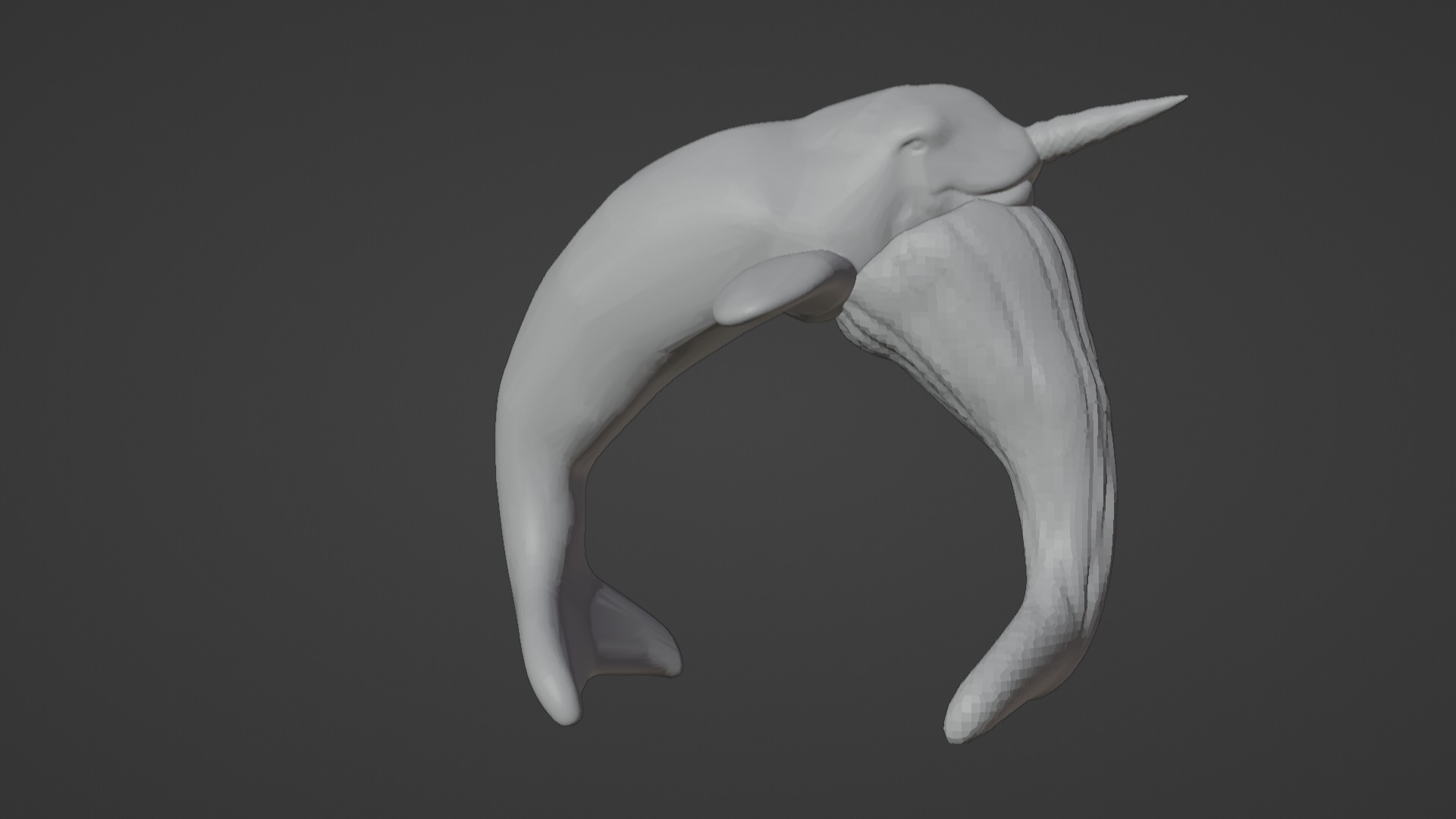 Narwhal 3D Model for Printing  3D print model_97