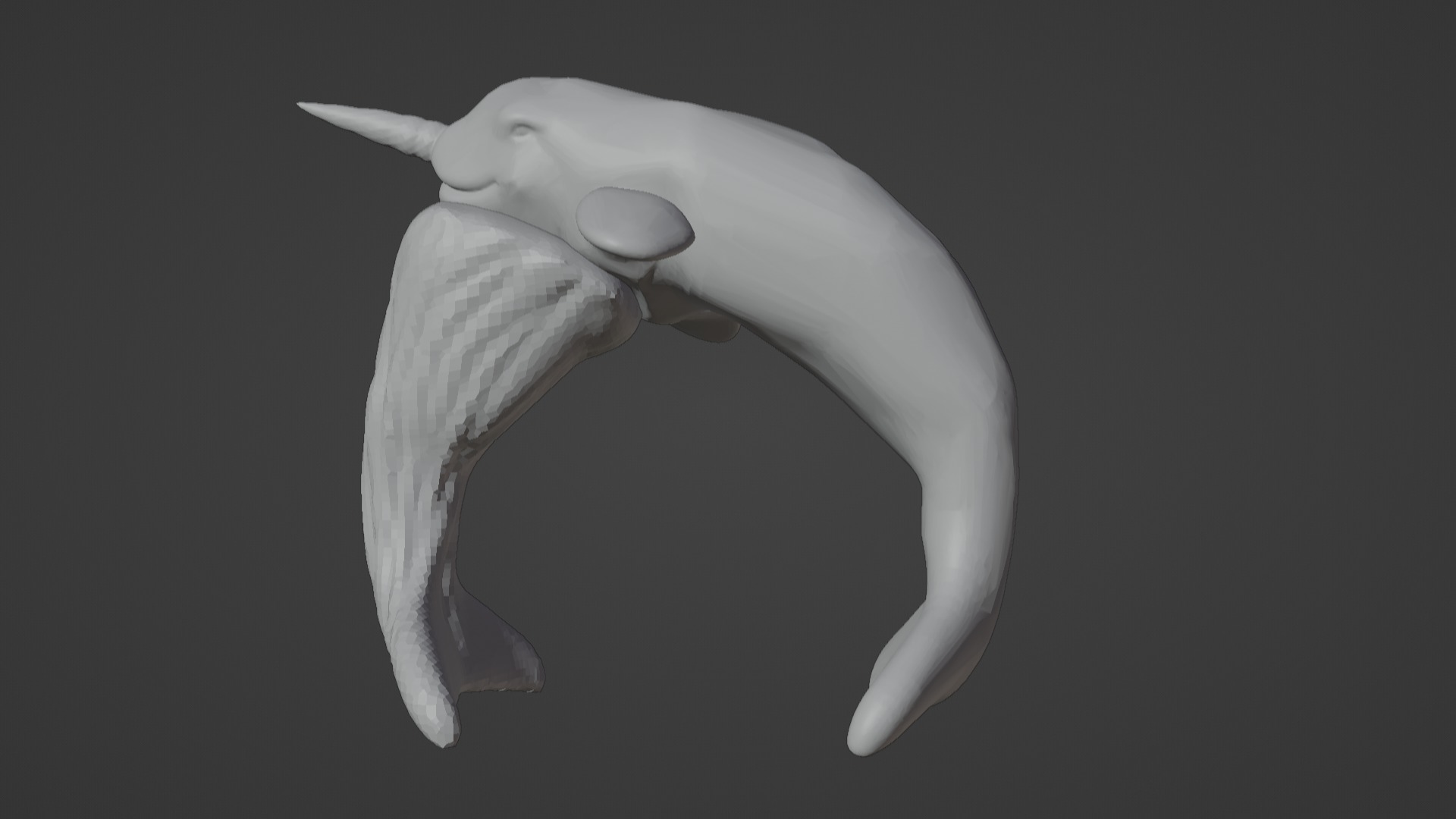 Narwhal 3D Model for Printing  3D print model_47