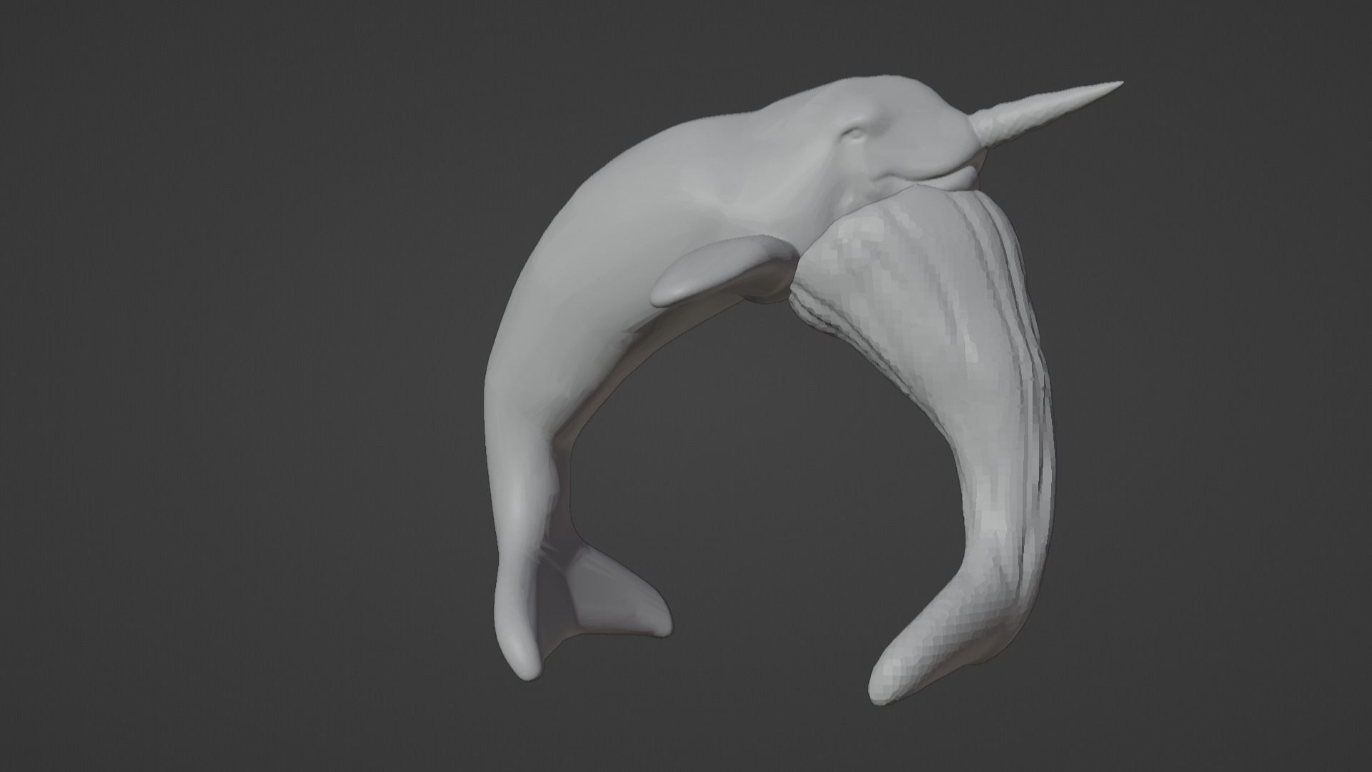 Narwhal 3D Model for Printing  3D print model_98