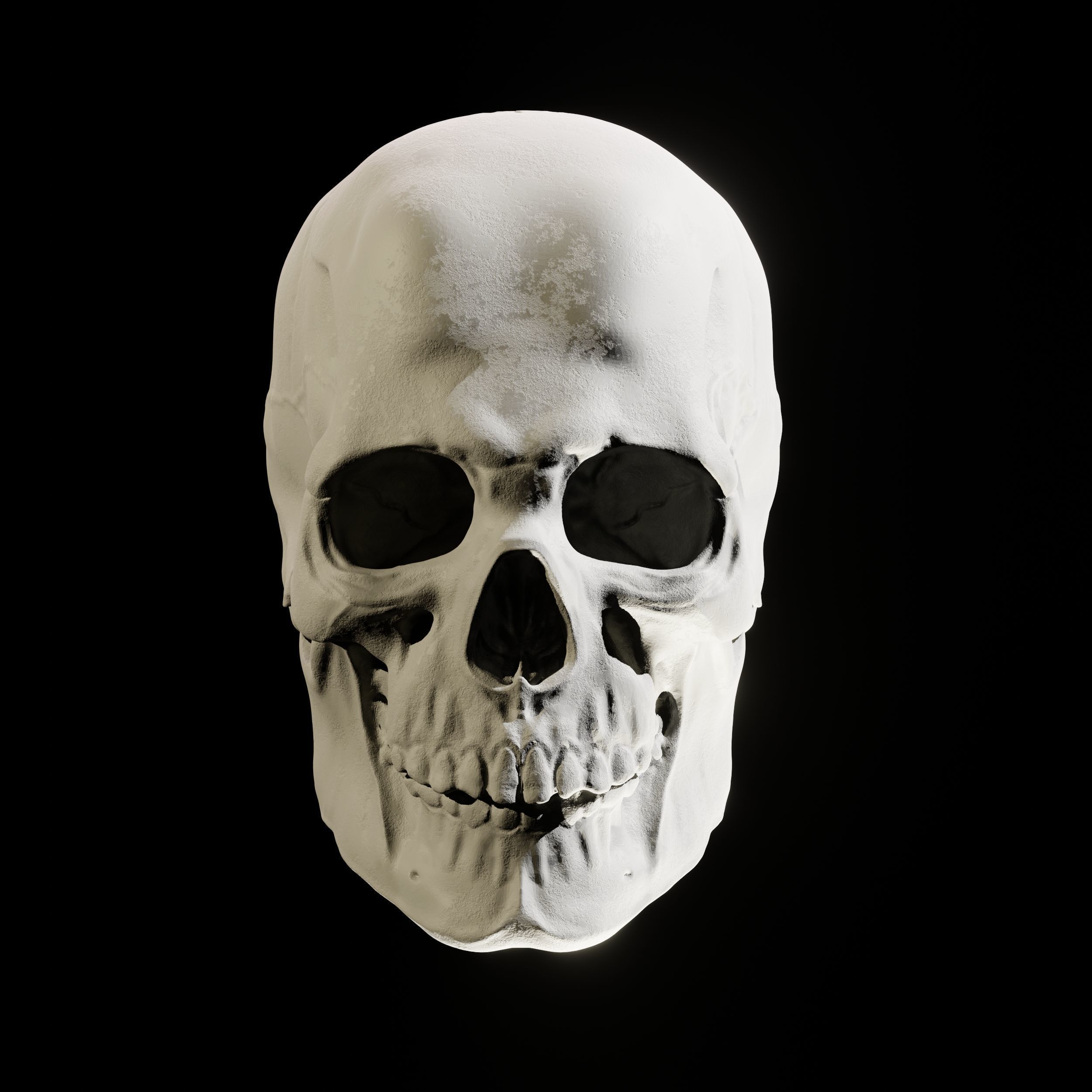 Human Skull 3D Sculpt 3D model_2