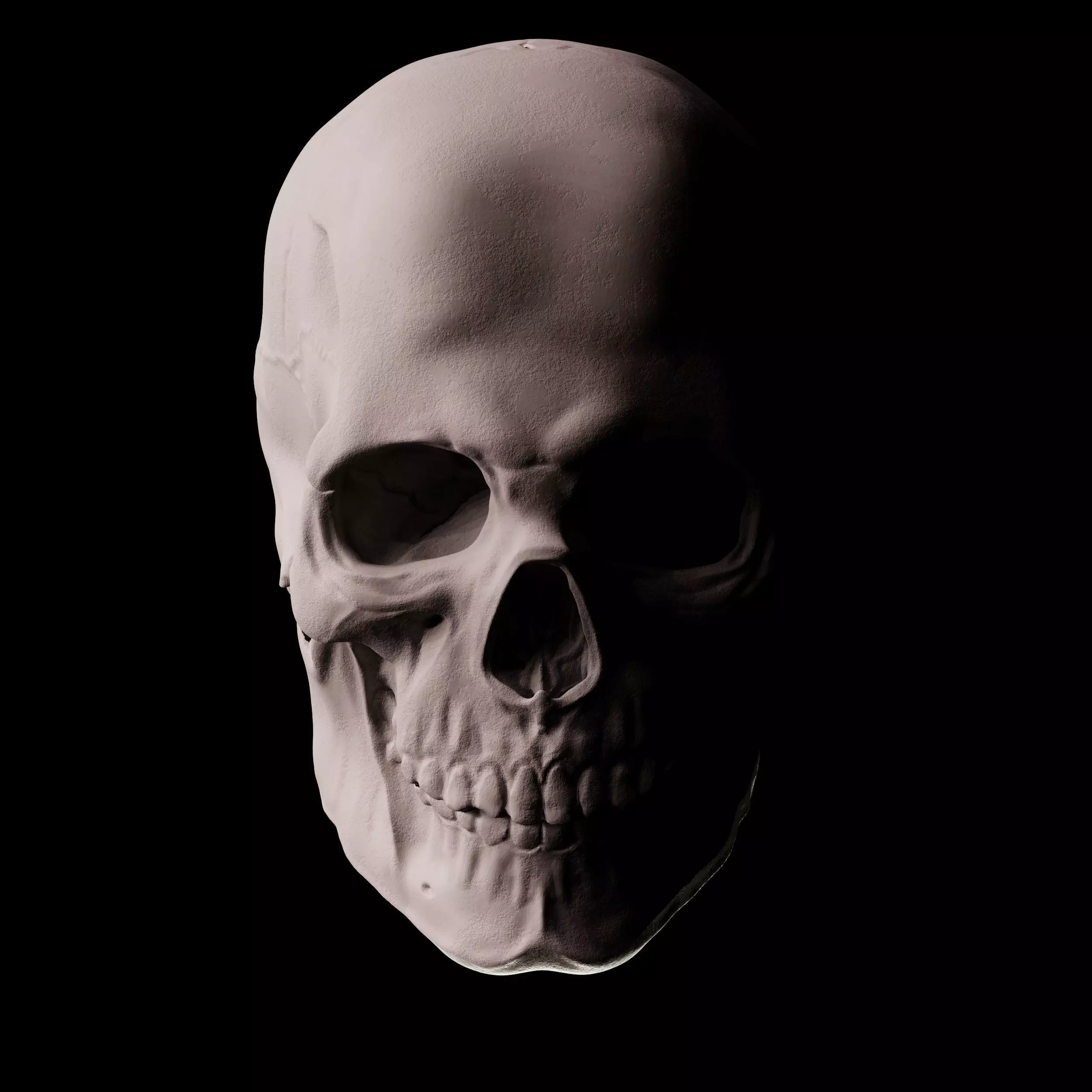 Human Skull 3D Sculpt 3D model_0