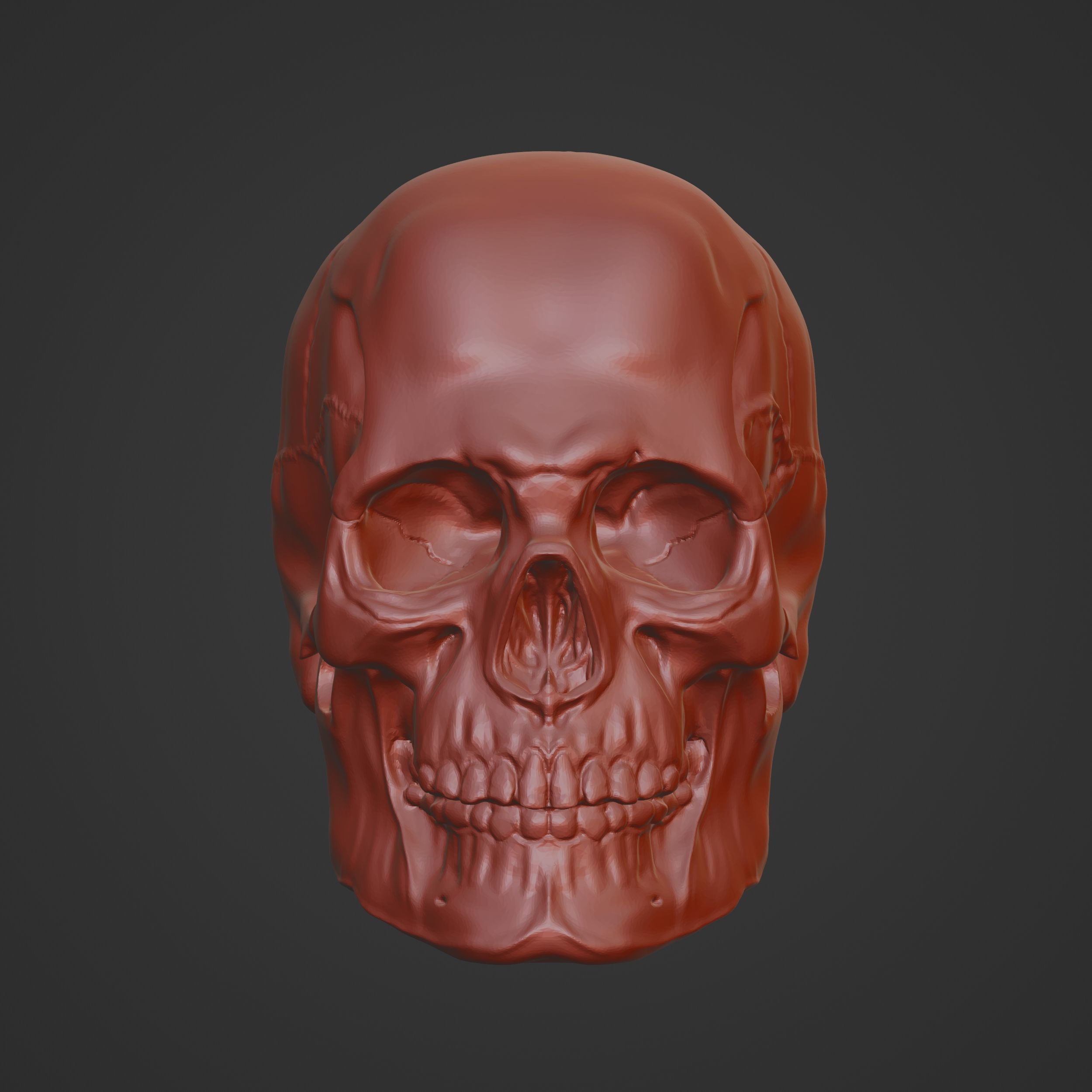 Human Skull 3D Sculpt 3D model_9