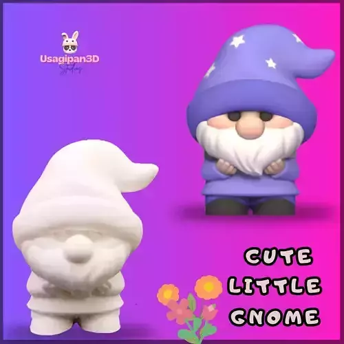 Cute Little Gnome