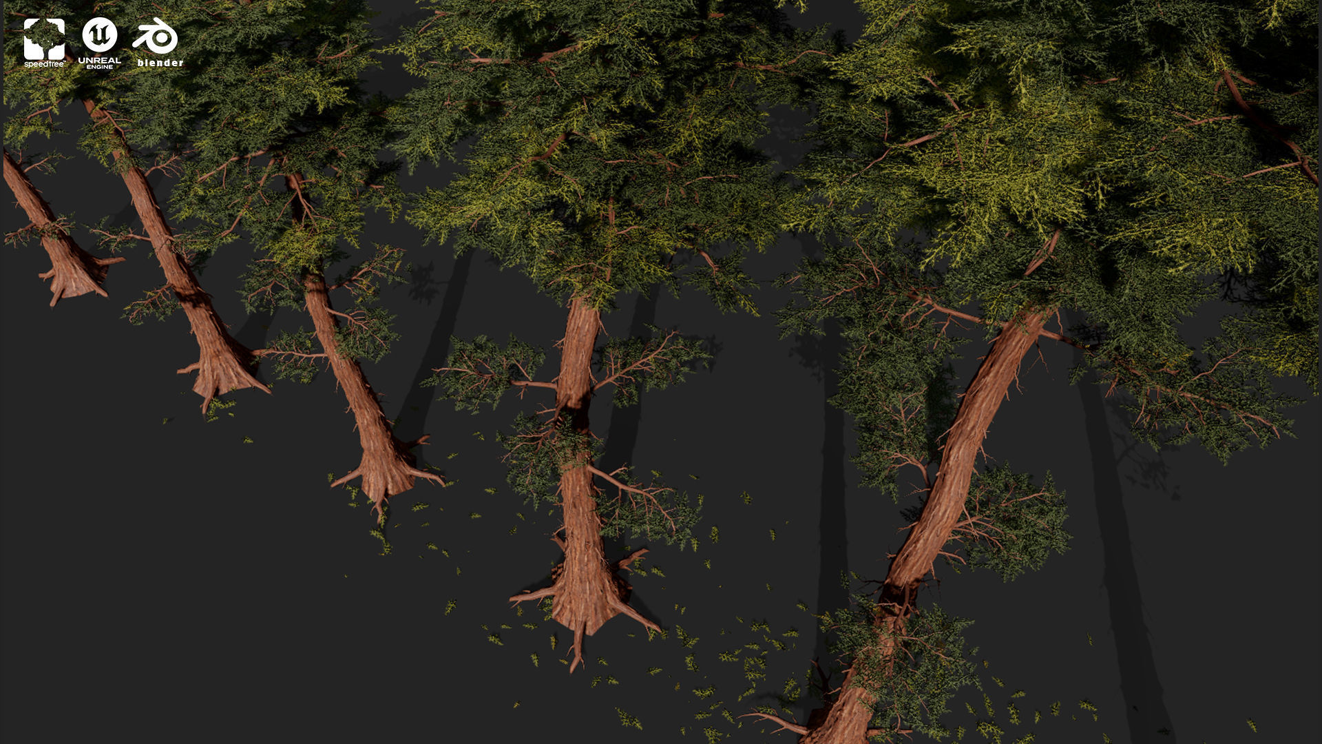 RED WOOD TREE PACK Low-poly 3D model_3