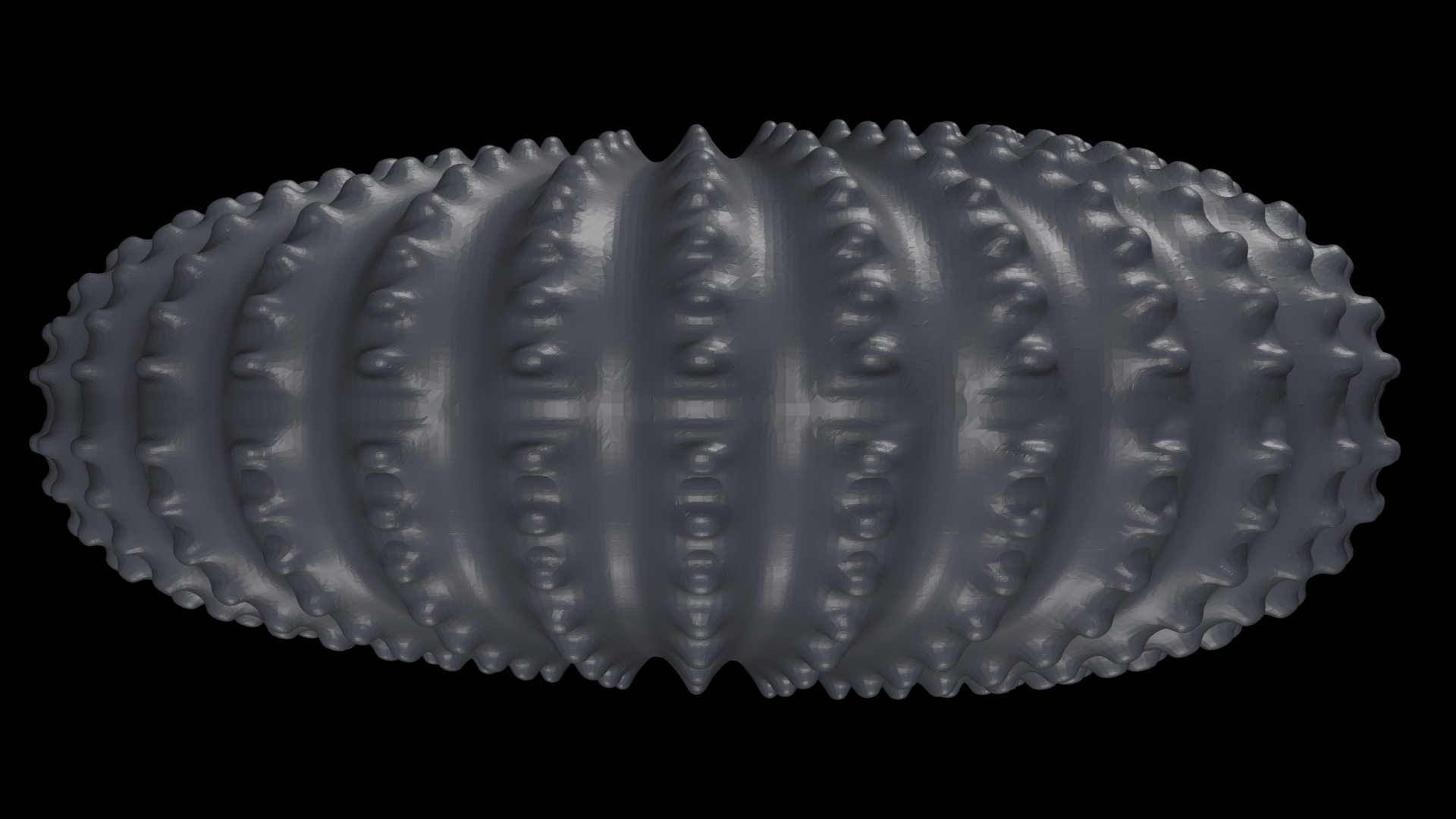 Ammonoid shell with nodes 3D model_8