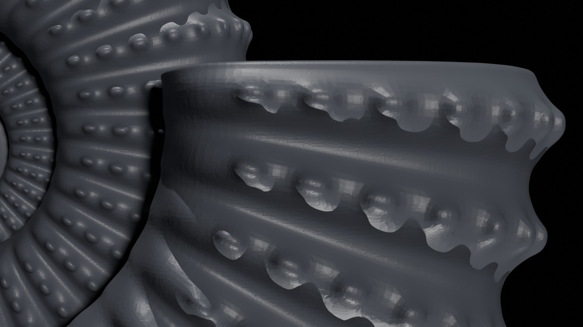 Ammonoid shell with nodes 3D model_5