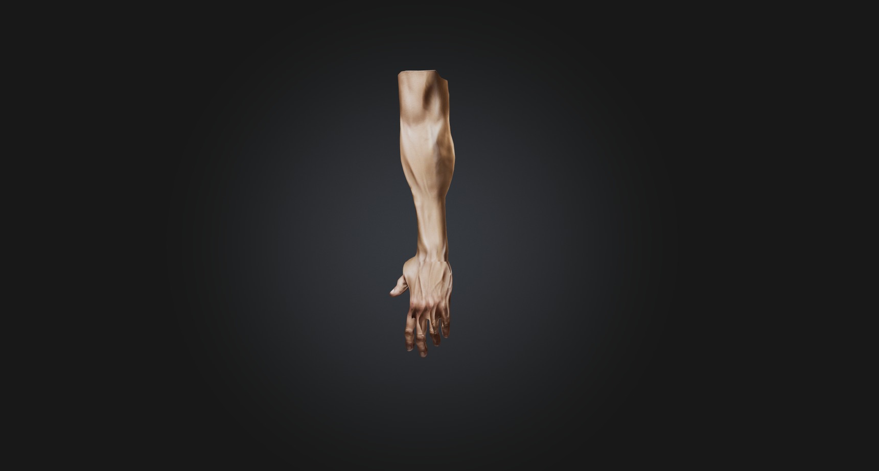 human arm Low-poly 3D model_2