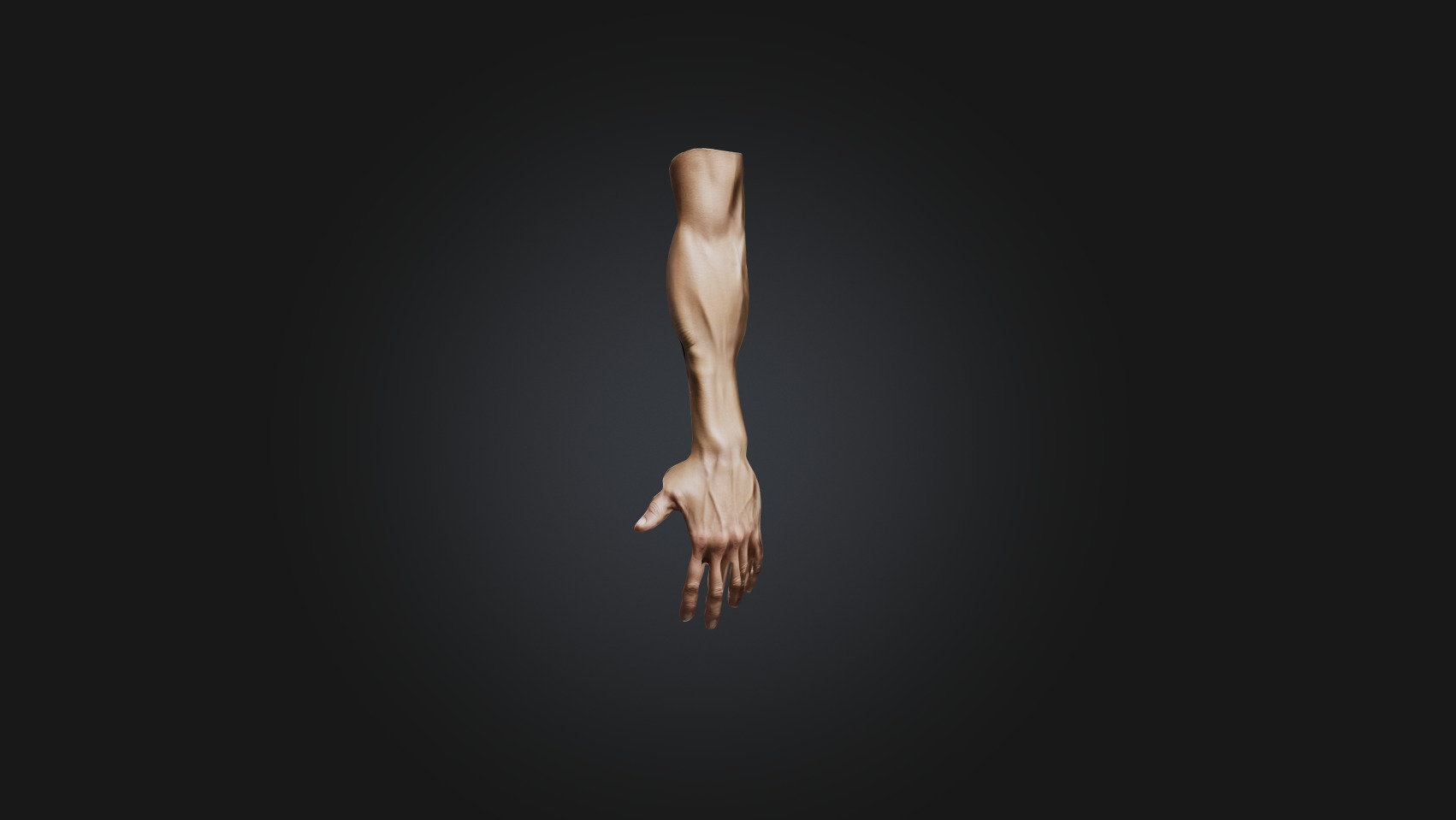 human arm Low-poly 3D model_1
