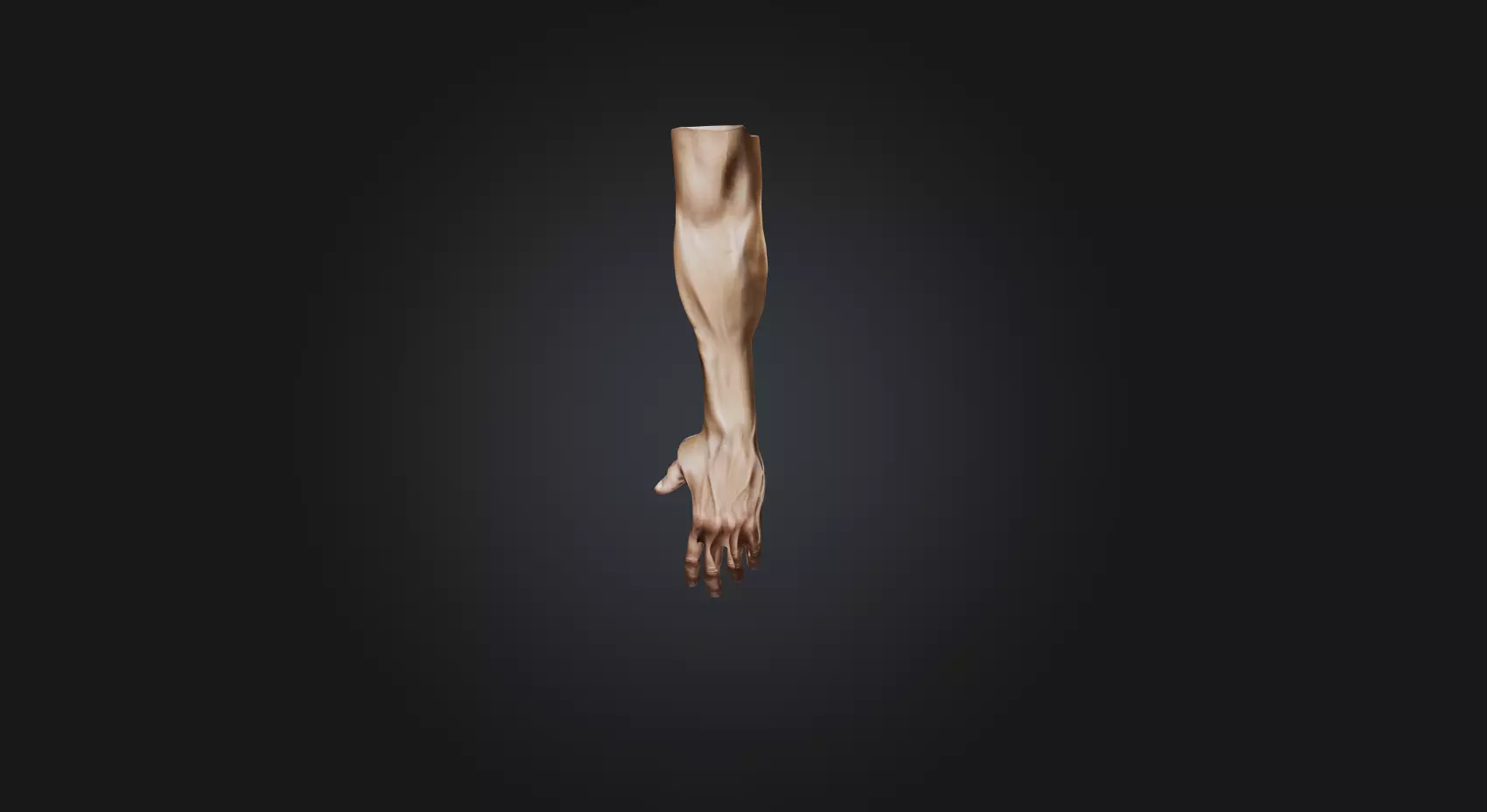 human arm Low-poly 3D model_0