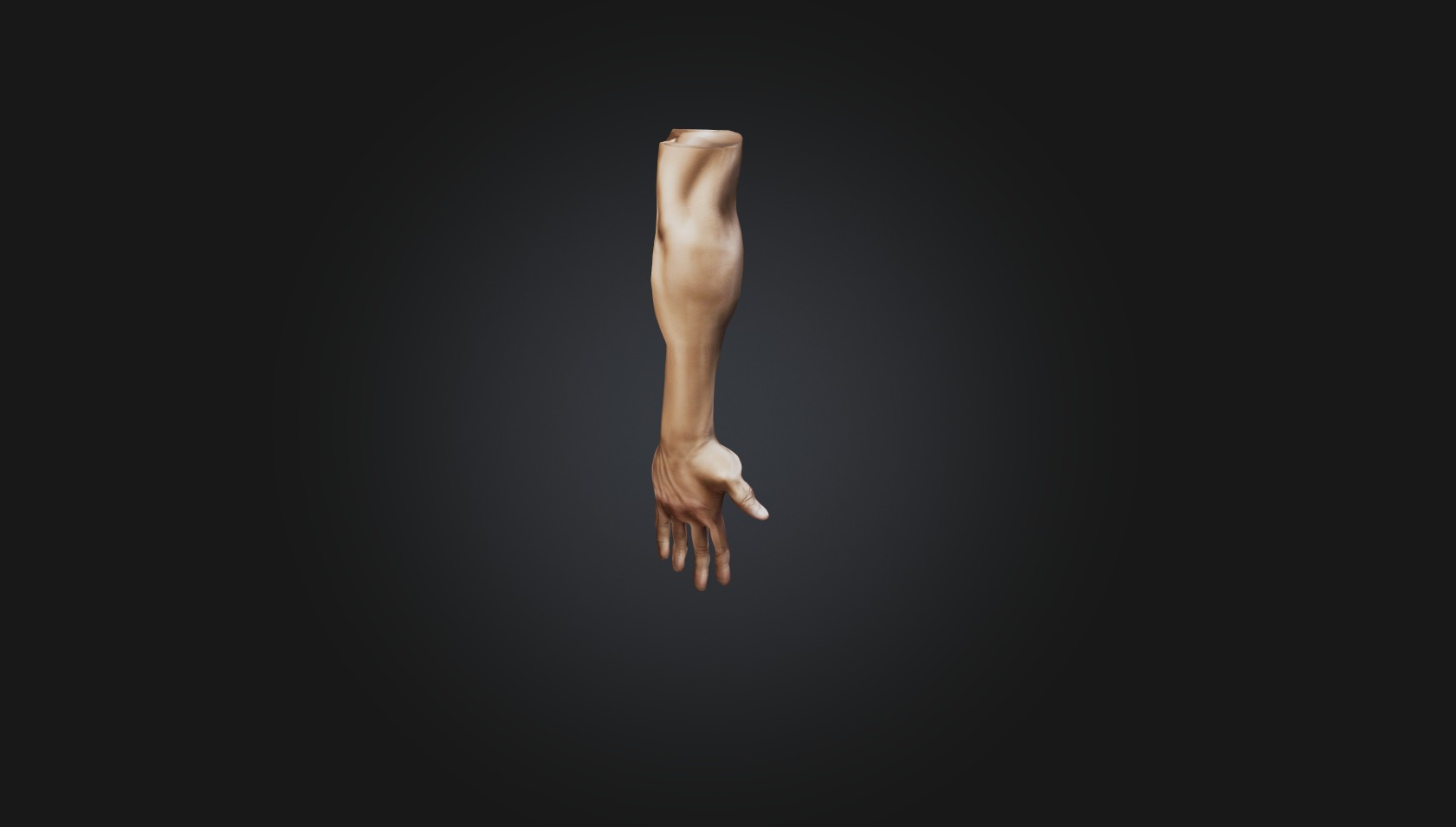 human arm Low-poly 3D model_4