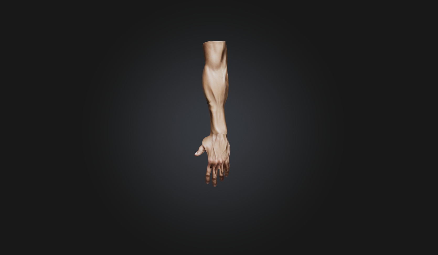 human arm Low-poly 3D model_3