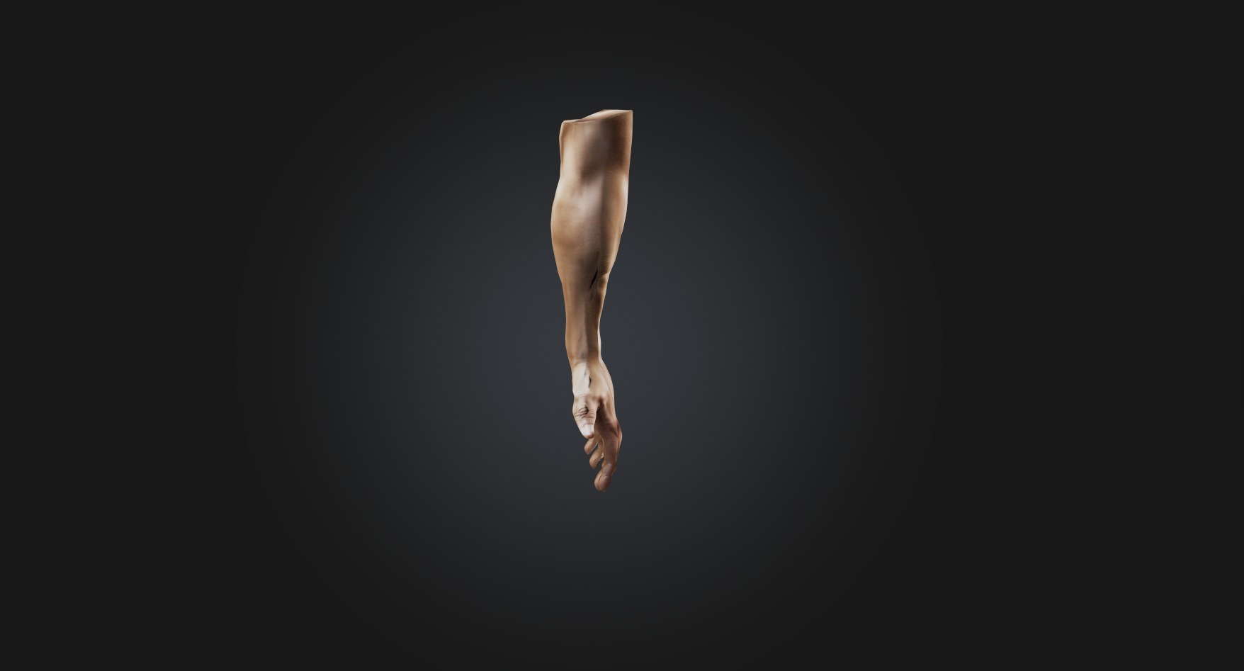 human arm Low-poly 3D model_5