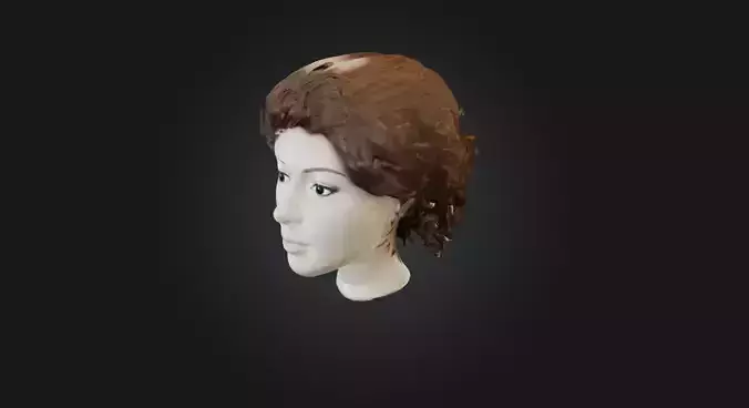 hair wig  Low-poly 3D model