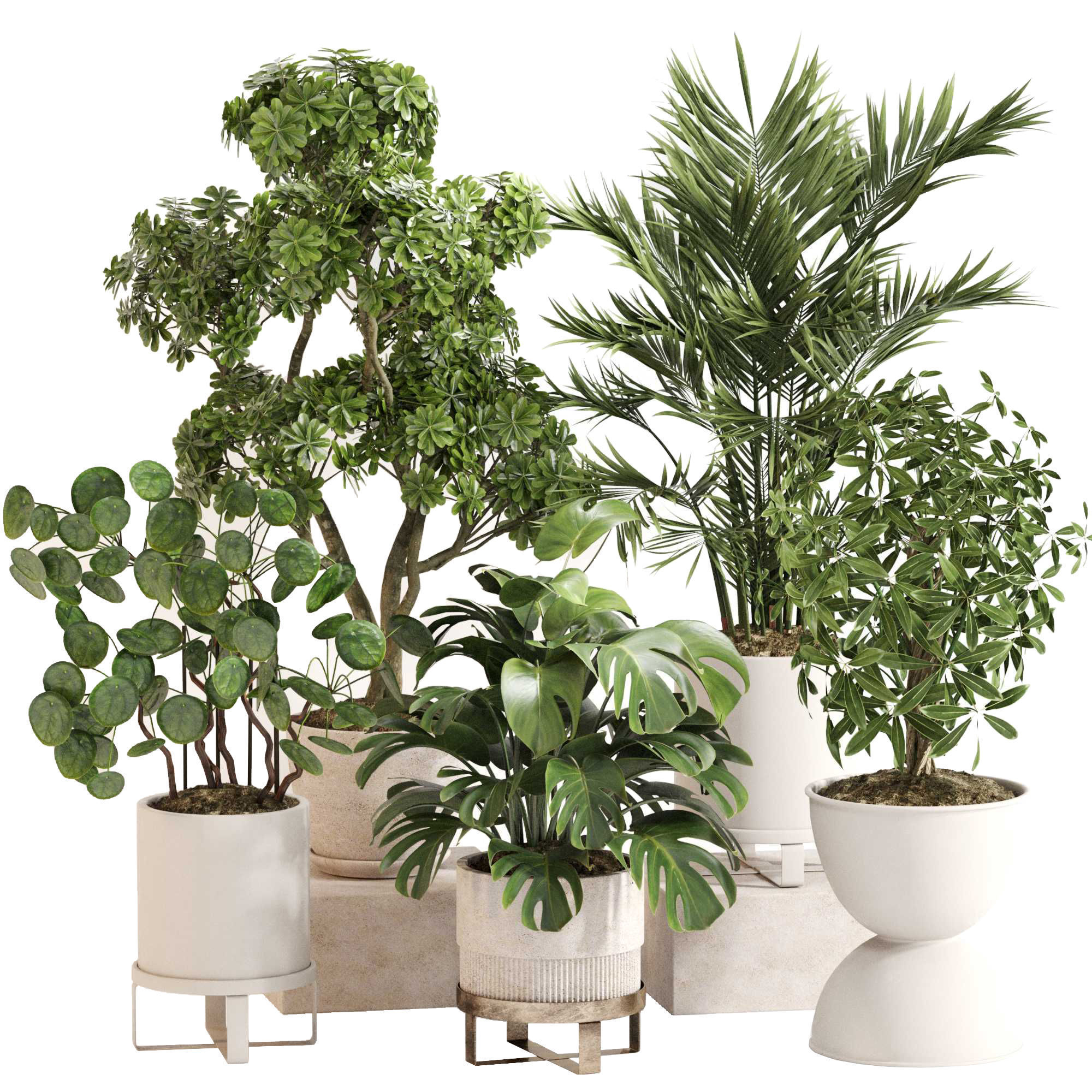 Indoor Plant Set 0150 3D model_3