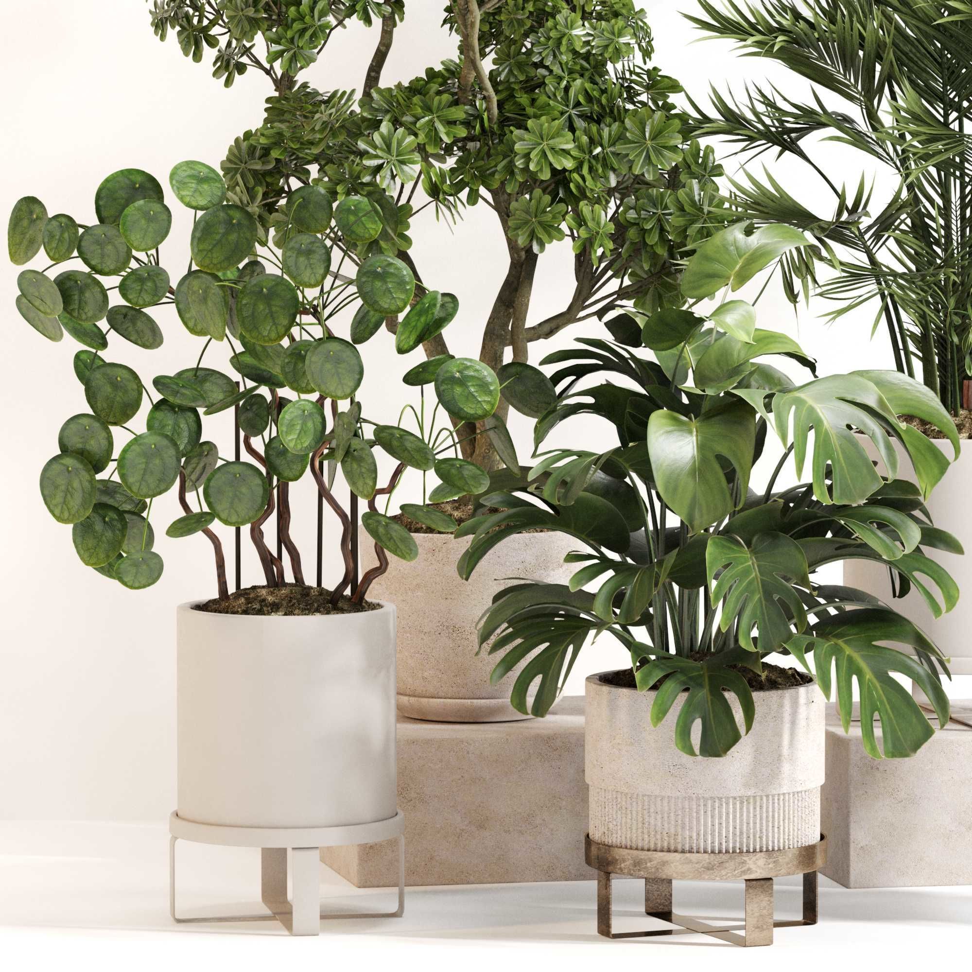 Indoor Plant Set 0150 3D model_1