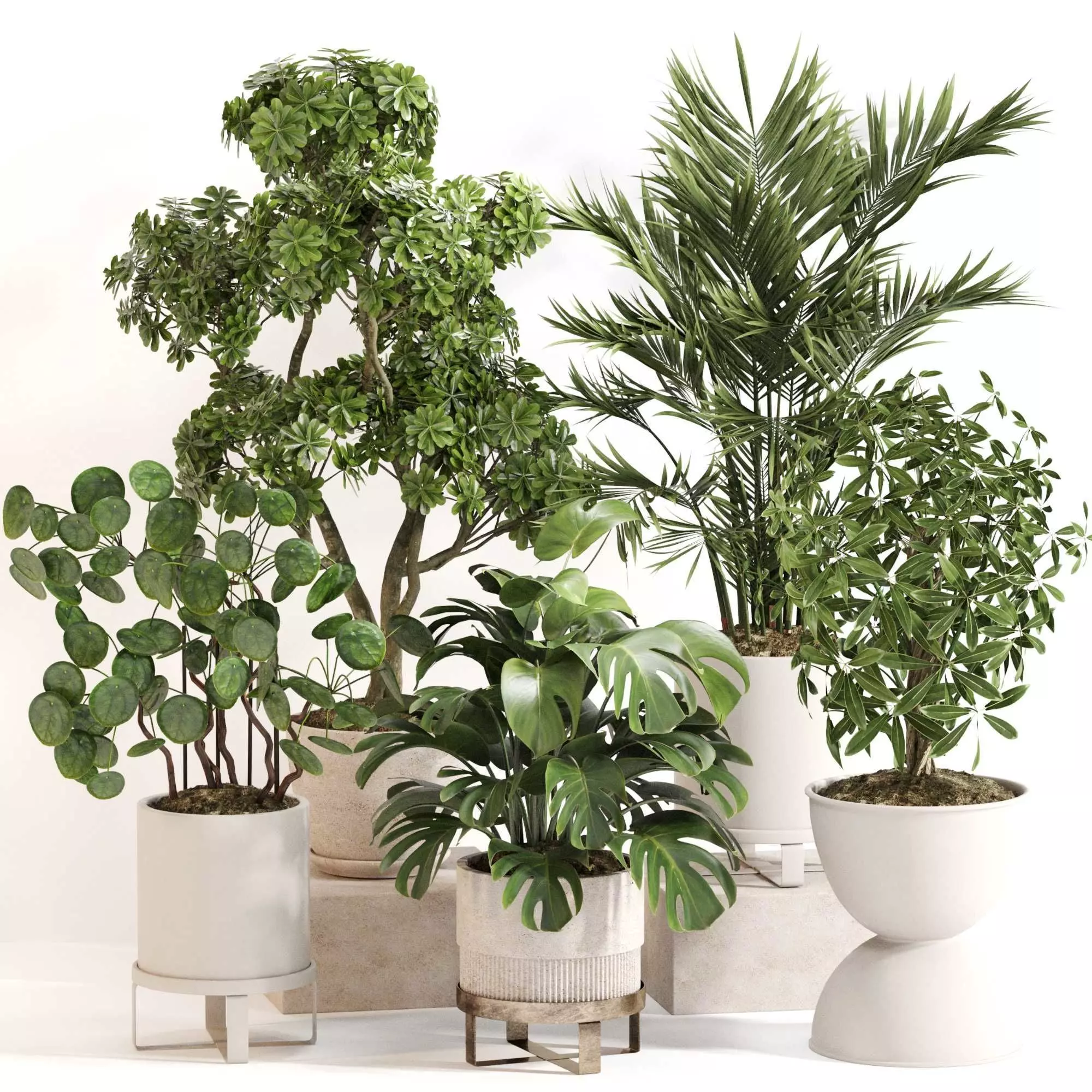 Indoor Plant Set 0150 3D model_0