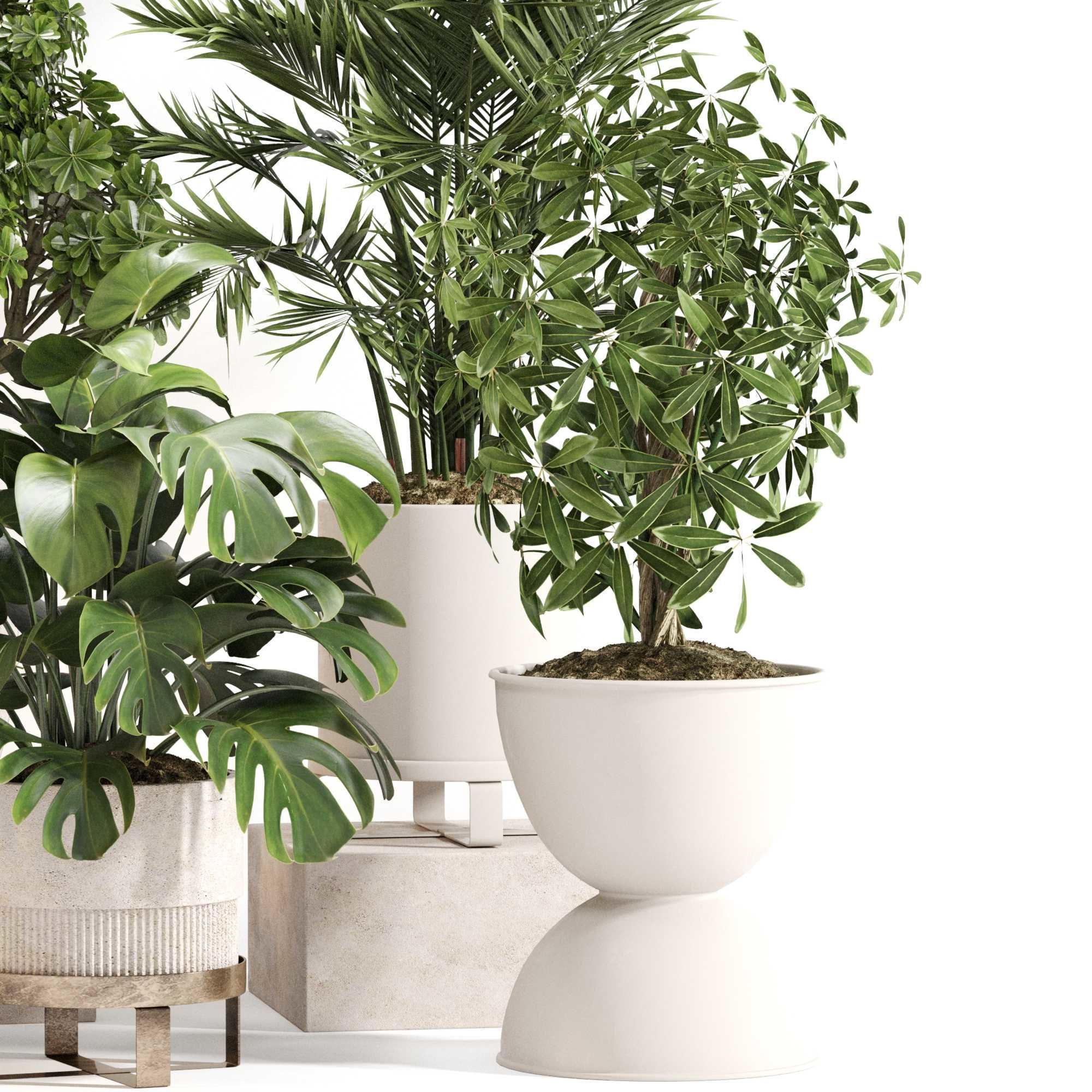 Indoor Plant Set 0150 3D model_2