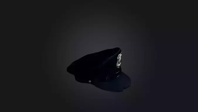 police hat 