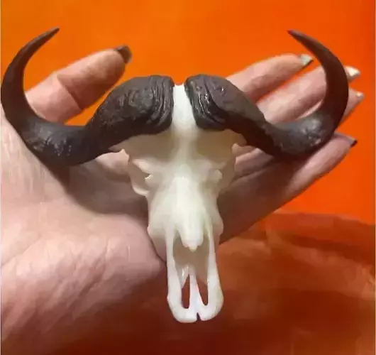 Mini beasts African Buffalo