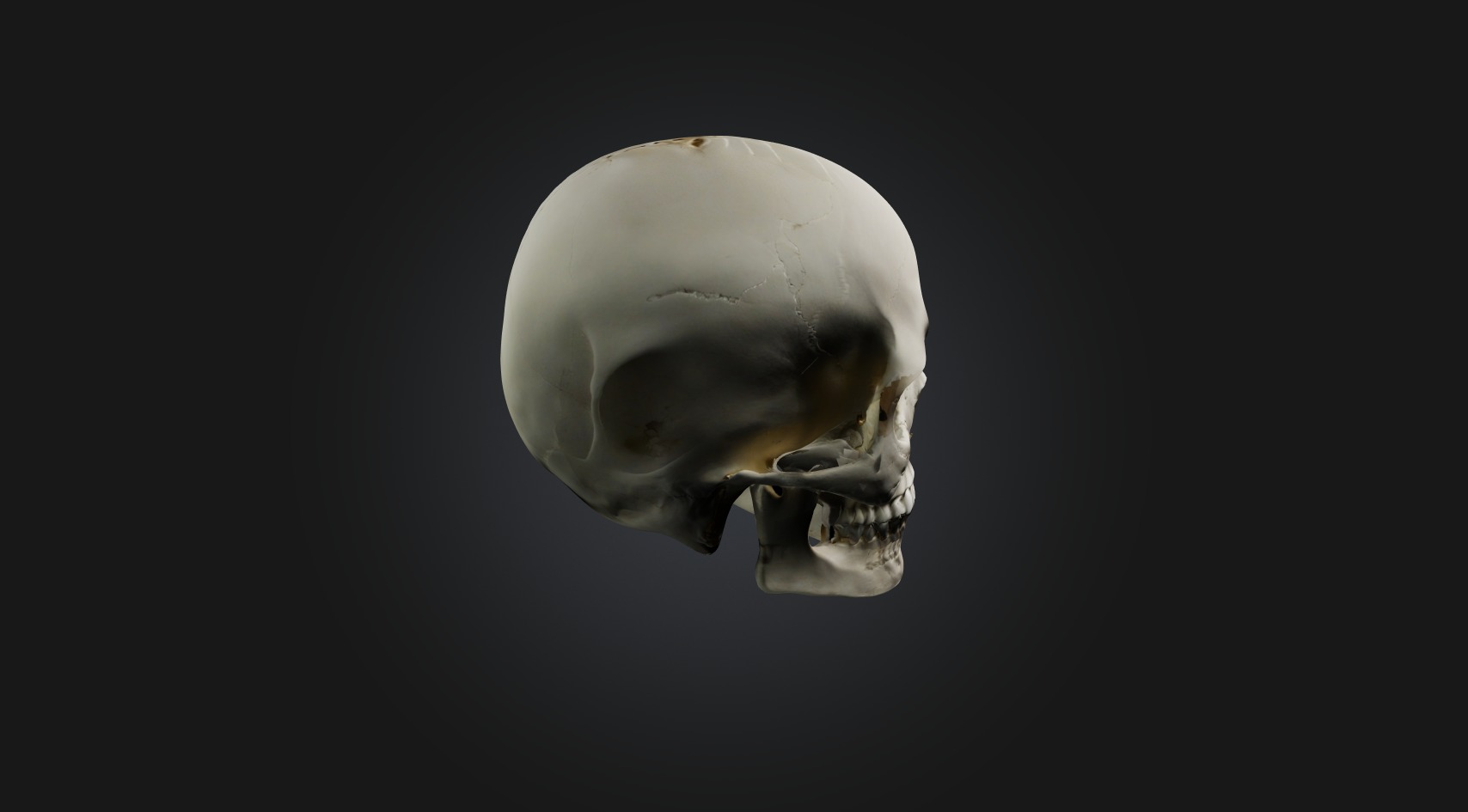 home phone Low-poly 3D model_15