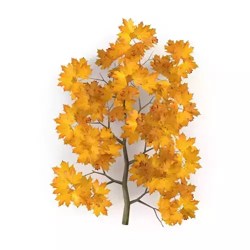 Maple Branch Yellow V2