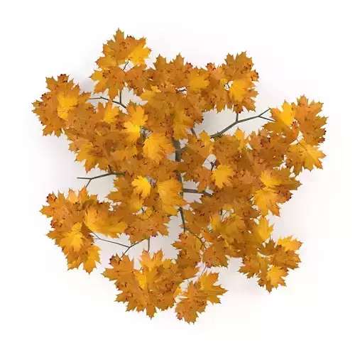 Maple Branch Yellow V3